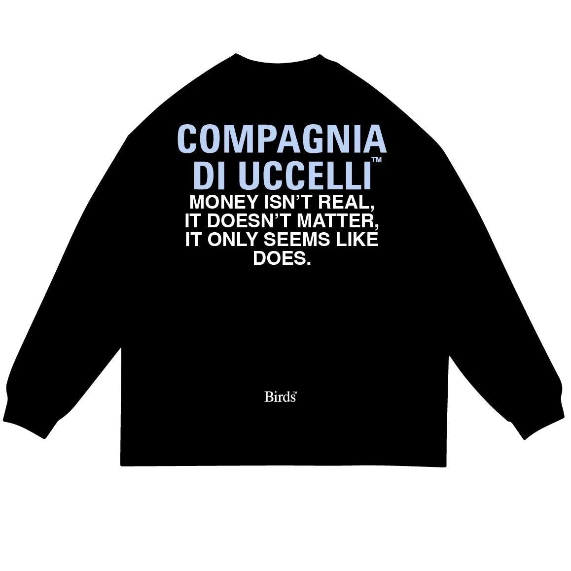 Birds "Money isnt Real" Black Premium Oversized Box Long Sleeve