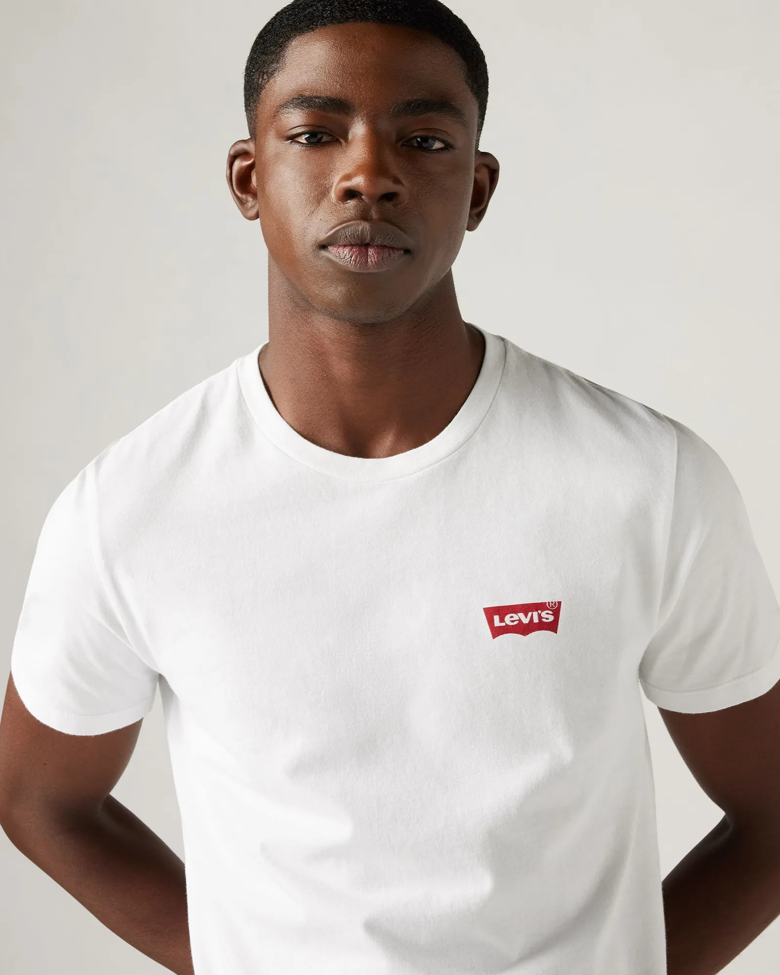 Levi's® 2-Pack Housemark Logo Crew Neck Tees - White / Mid Tone Grey Heather